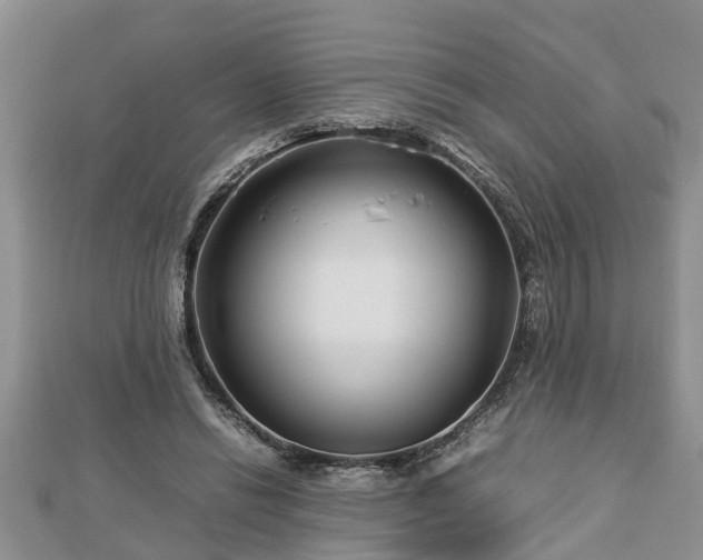 X0000112790446200908281510