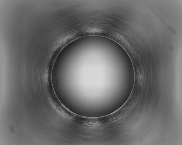 X0000112790447200908281510