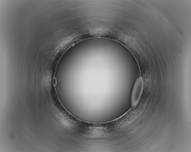 X0000112790448200908281510