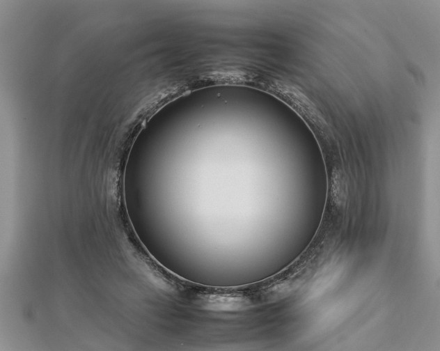 X0000112790449200908281510