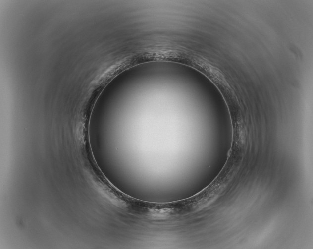 X0000112790450200908281510