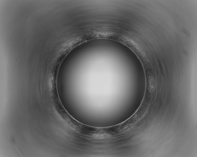 X0000112790451200908281510