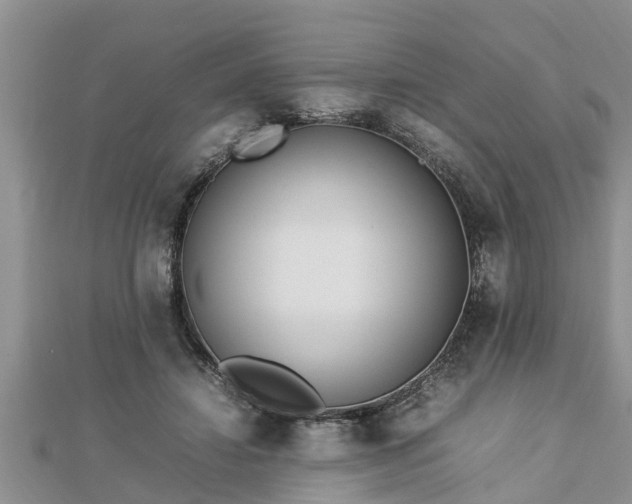 X0000112790452200908281510