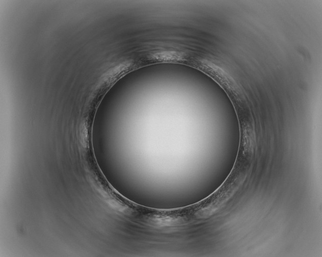 X0000112790453200908281510