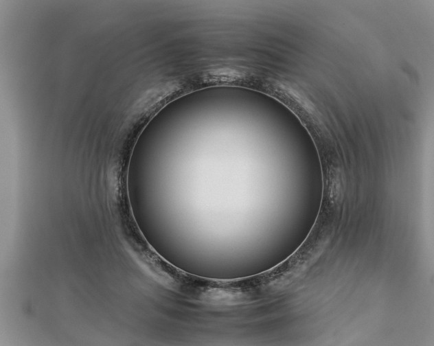 X0000112790455200908281510