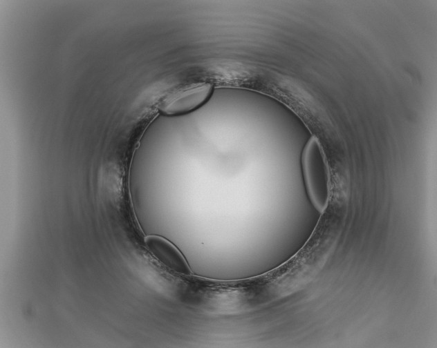 X0000112790456200908281510