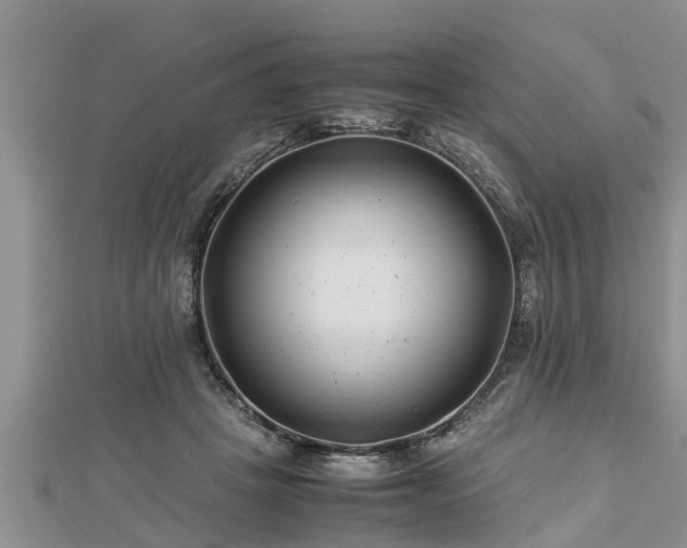 X0000112790457200908281510