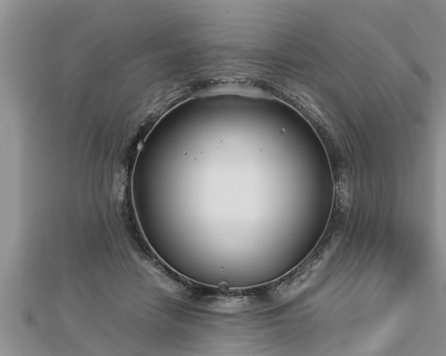 X0000112790458200908281510