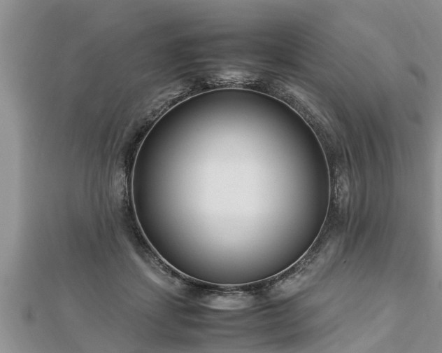 X0000112790459200908281510