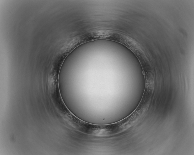 X0000112790460200908281510