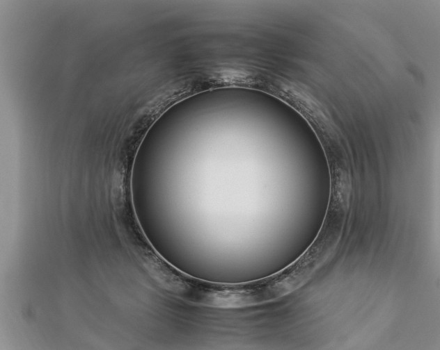 X0000112790461200908281510