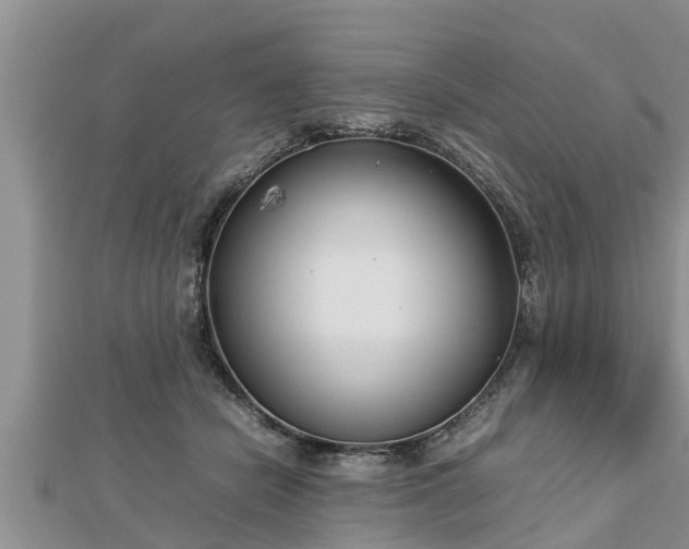 X0000112790462200908281510