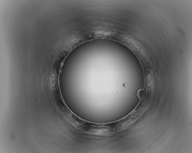 X0000112790463200908281510