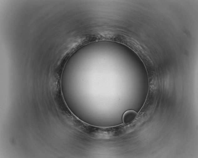 X0000112790464200908281510