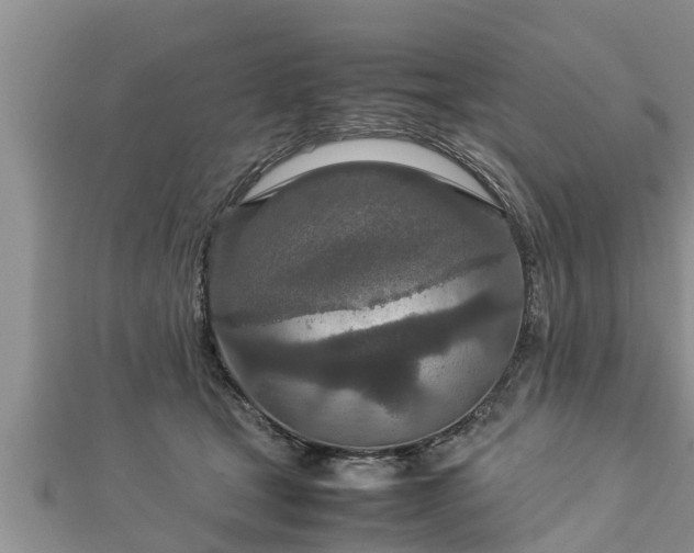 X0000112790465200908281510