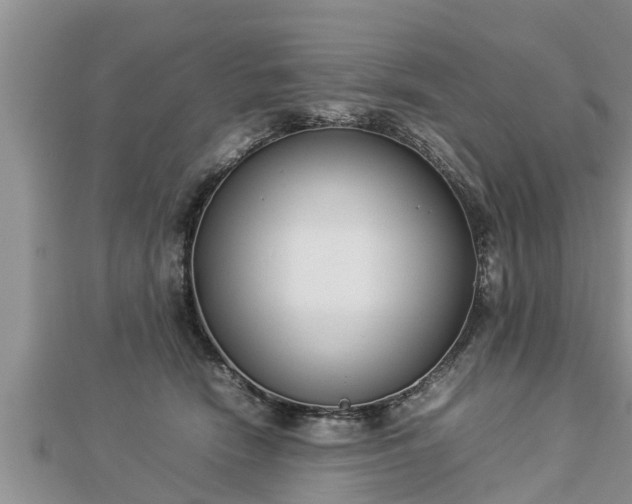 X0000112790466200908281510