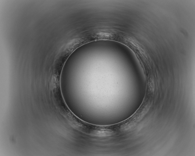 X0000112790467200908281510