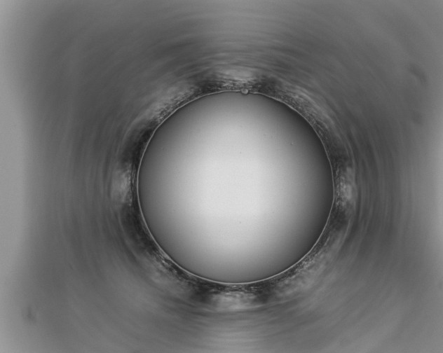 X0000112790468200908281510