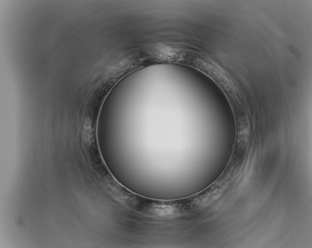 X0000112790469200908281510