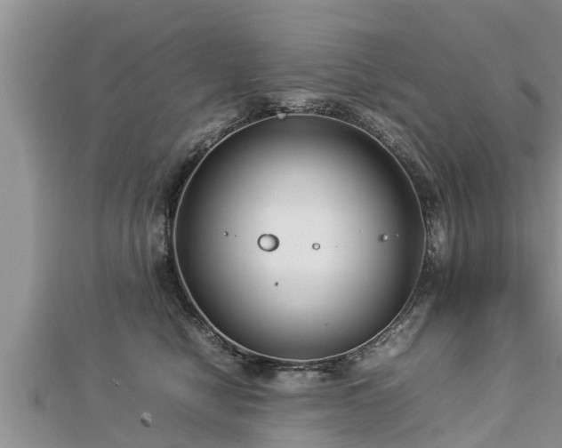 X0000112790470200908281510