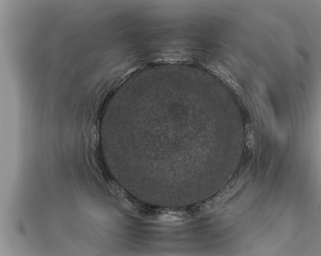 X0000112790471200908281510