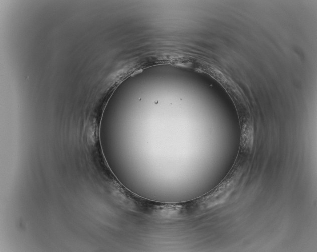 X0000112790474200908281510