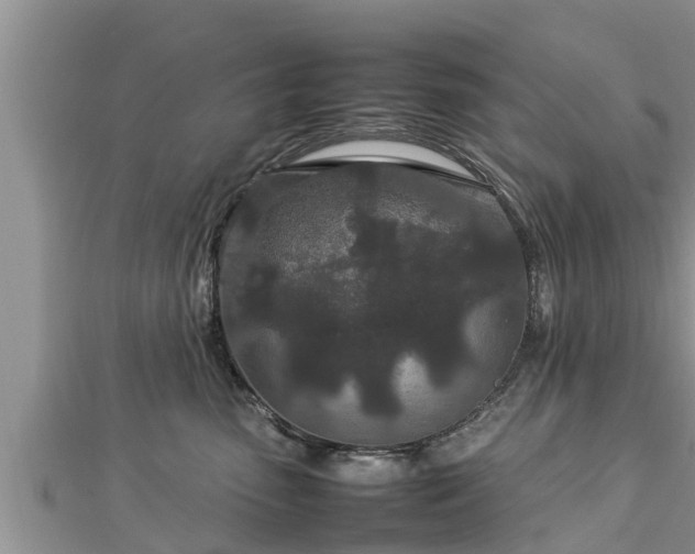 X0000112790475200908281510