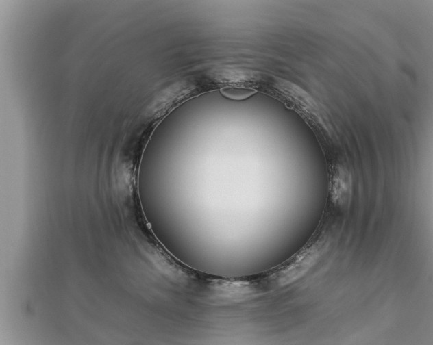 X0000112790476200908281510