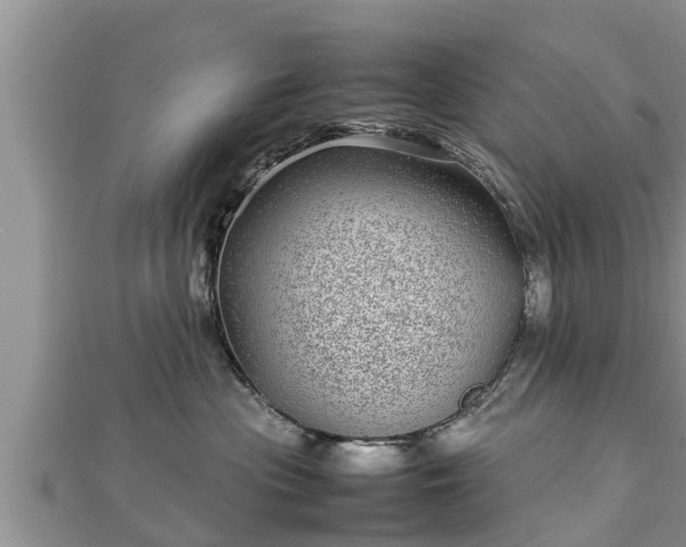 X0000112790477200908281510