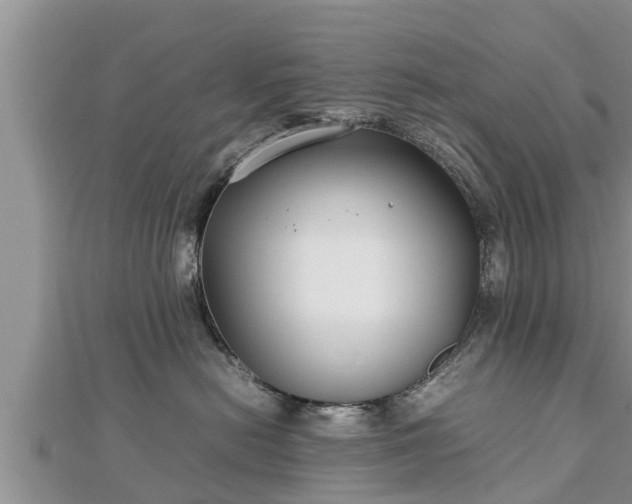 X0000112790478200908281510