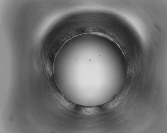 X0000112790479200908281510