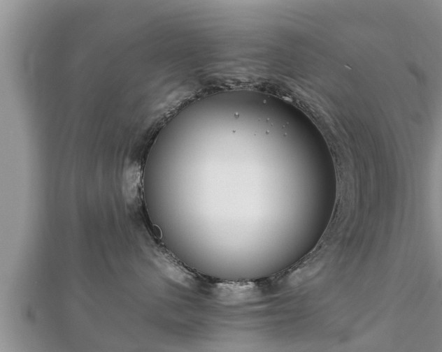 X0000112790480200908281510