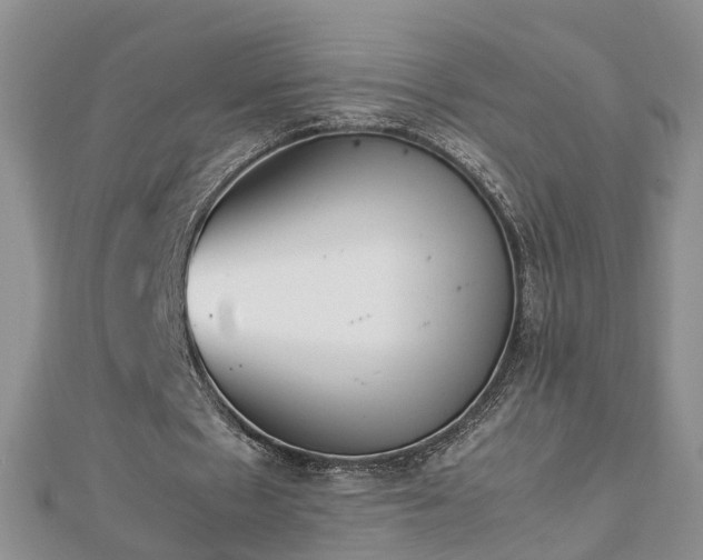 X0000112790481200908281510