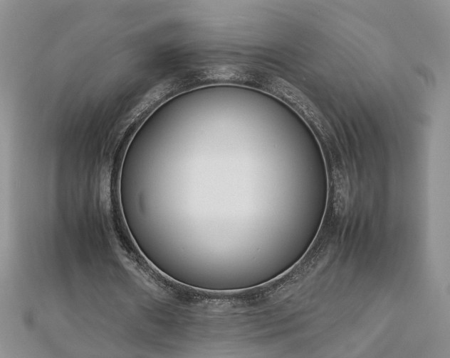 X0000112790482200908281510