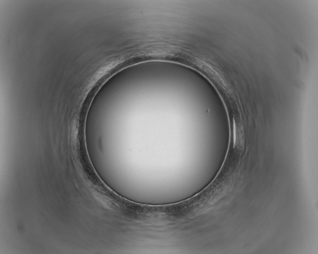 X0000112790483200908281510