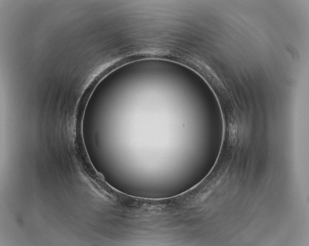 X0000112790484200908281510