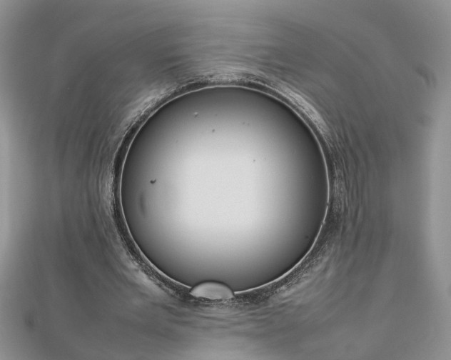 X0000112790485200908281510