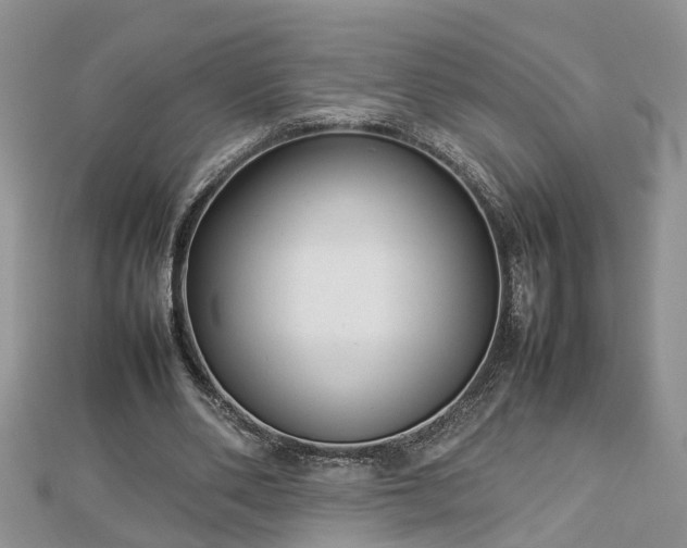 X0000112790486200908281510