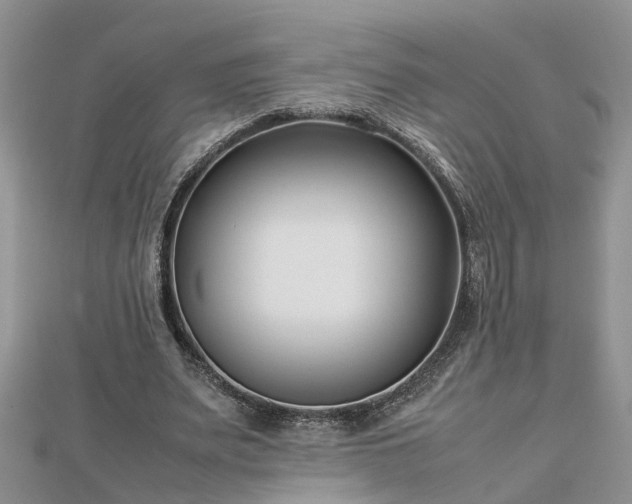 X0000112790487200908281510