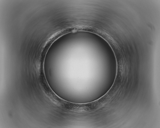 X0000112790488200908281510