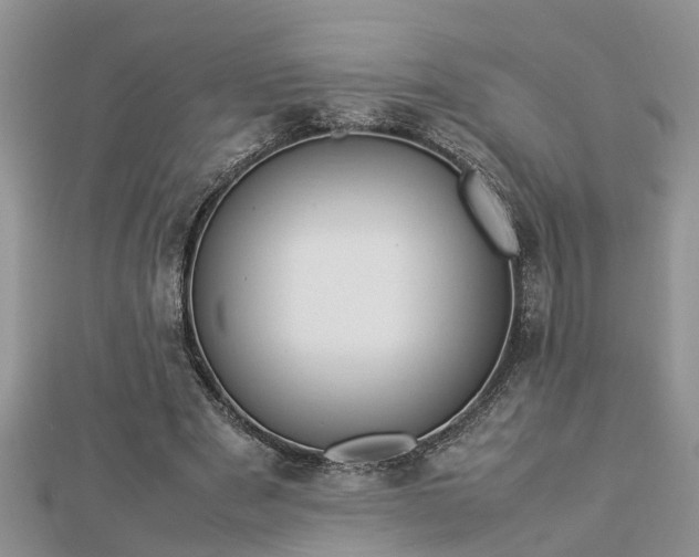 X0000112790489200908281510