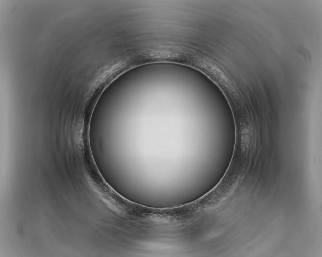 X0000112790490200908281510