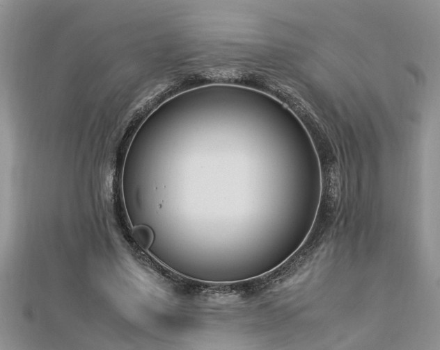 X0000112790491200908281510