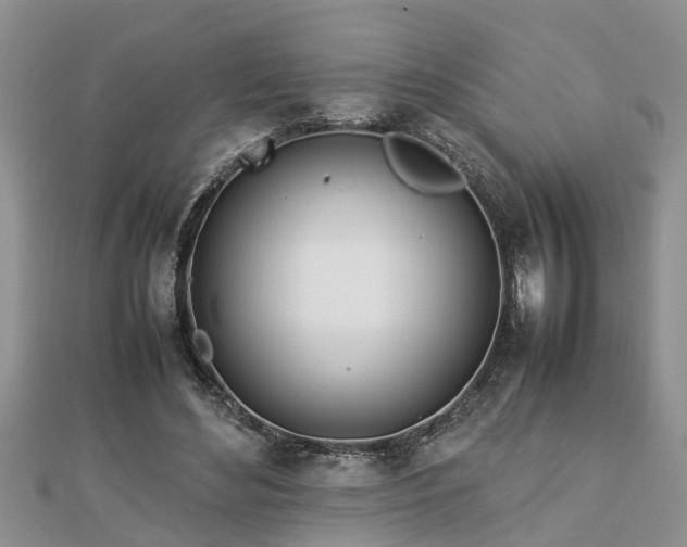 X0000112790492200908281510