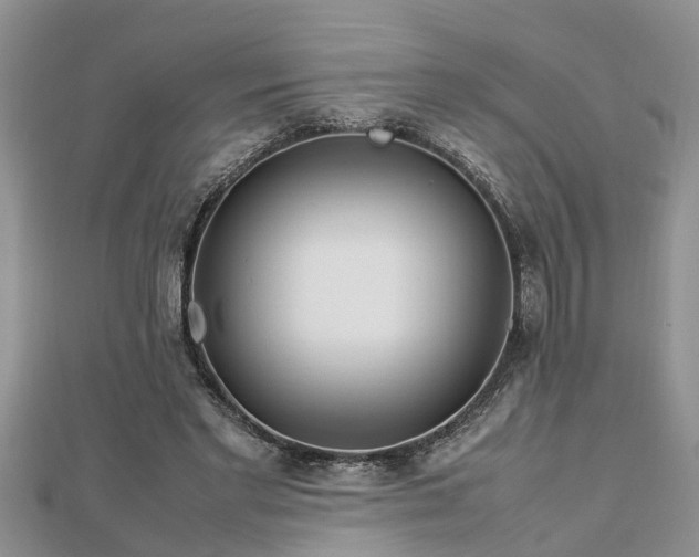 X0000112790493200908281510