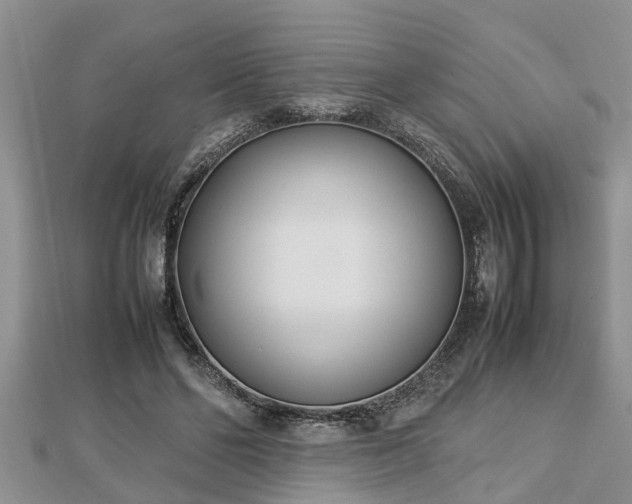 X0000112790494200908281510