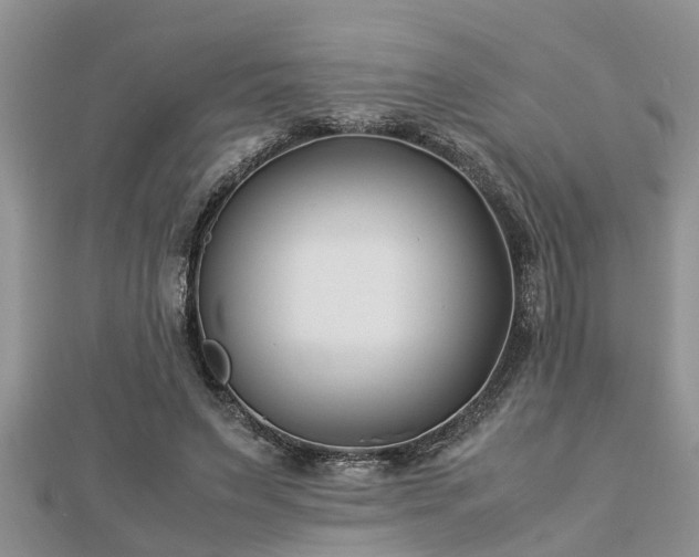 X0000112790495200908281510