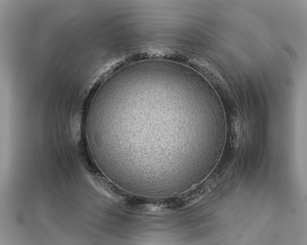 X0000112790496200908281510