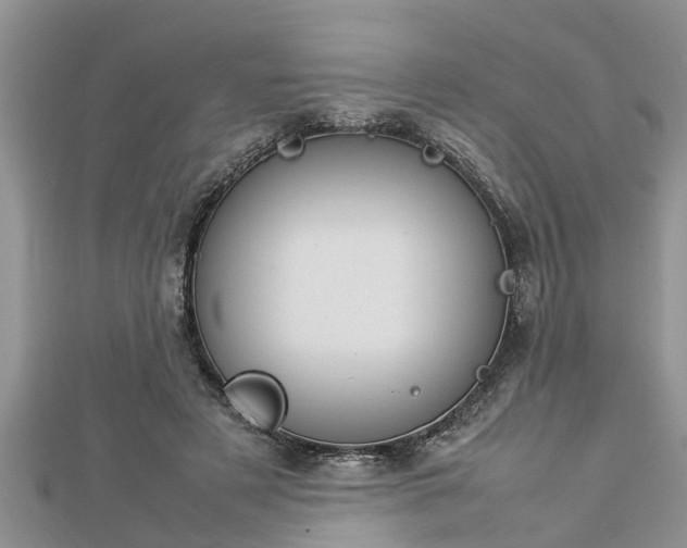 X0000112790497200908281510