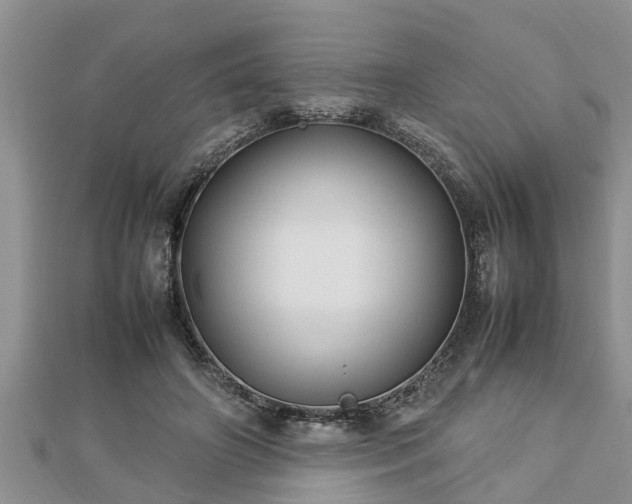 X0000112790498200908281510